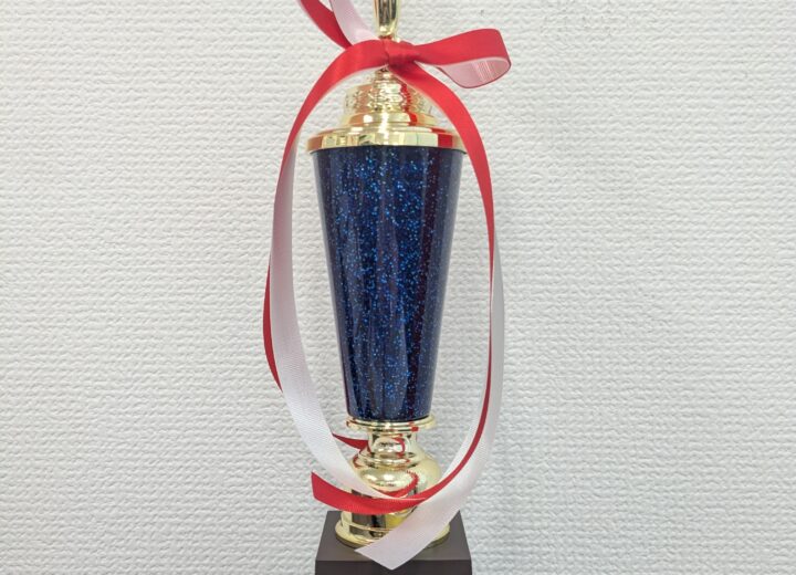 アステックペイント全国第一位